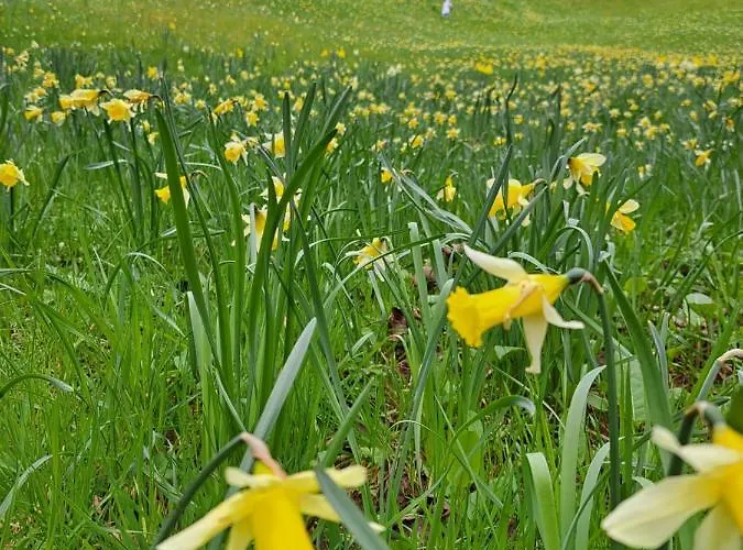 Wohn Eitel, Erholung Pur 바드윌드바드